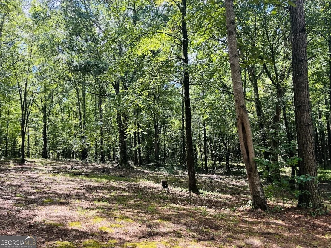 Photo of 3889 Greenville Road