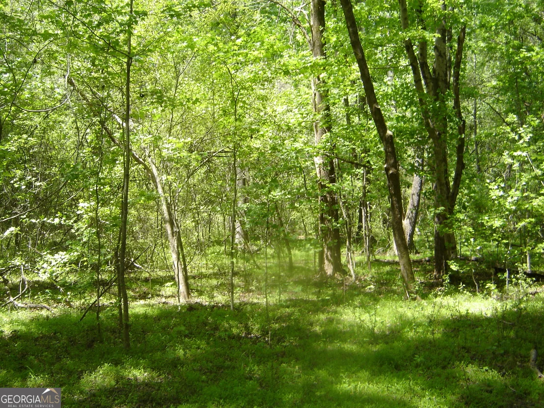 Photo of 0 Liberty Hill Road