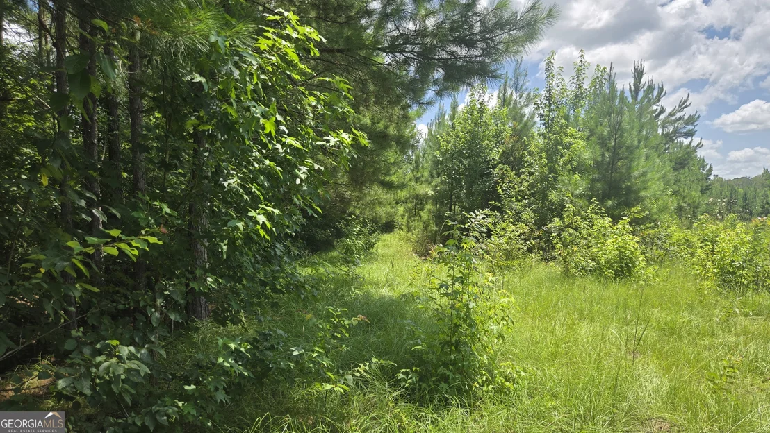 Photo of 0 East Highway 84 NE