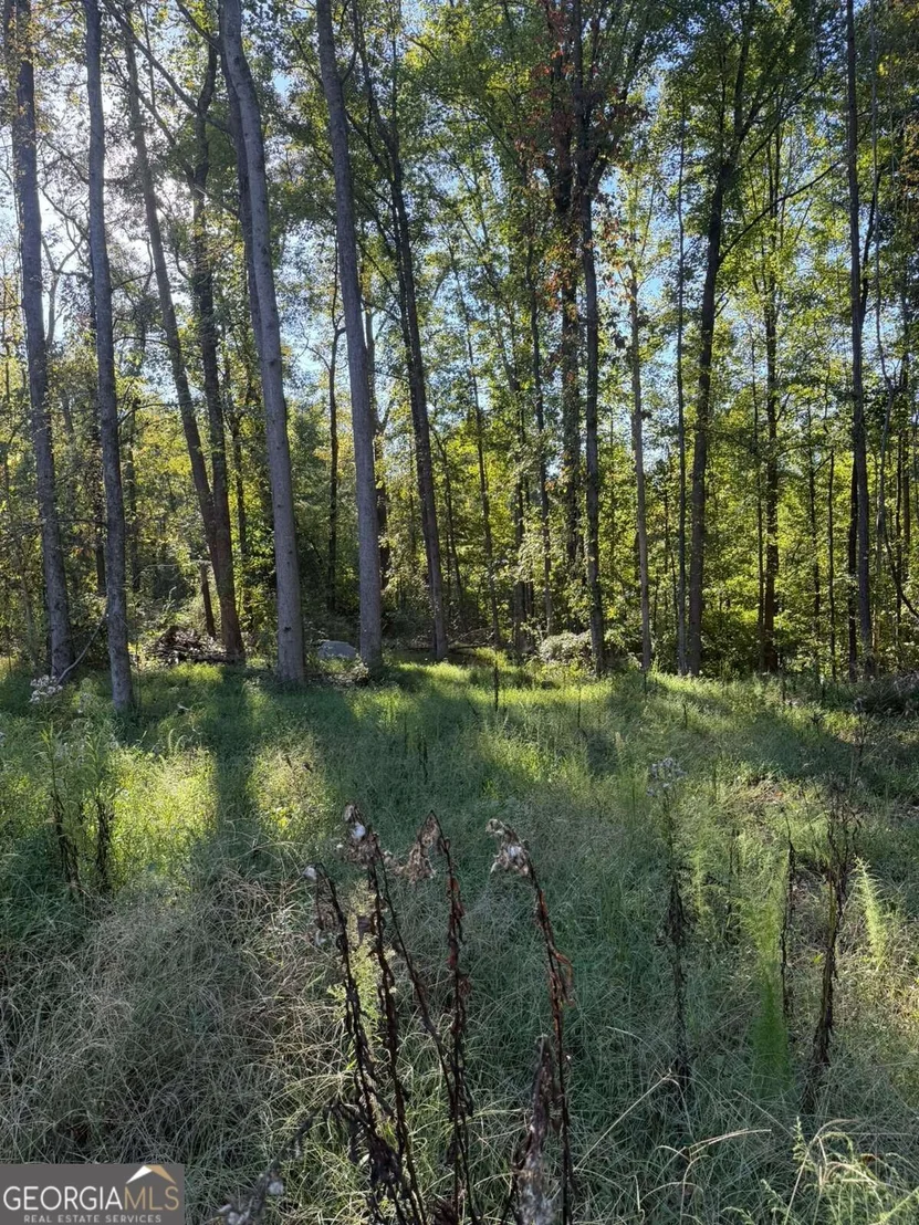 Photo of 92 Ida Pace Road