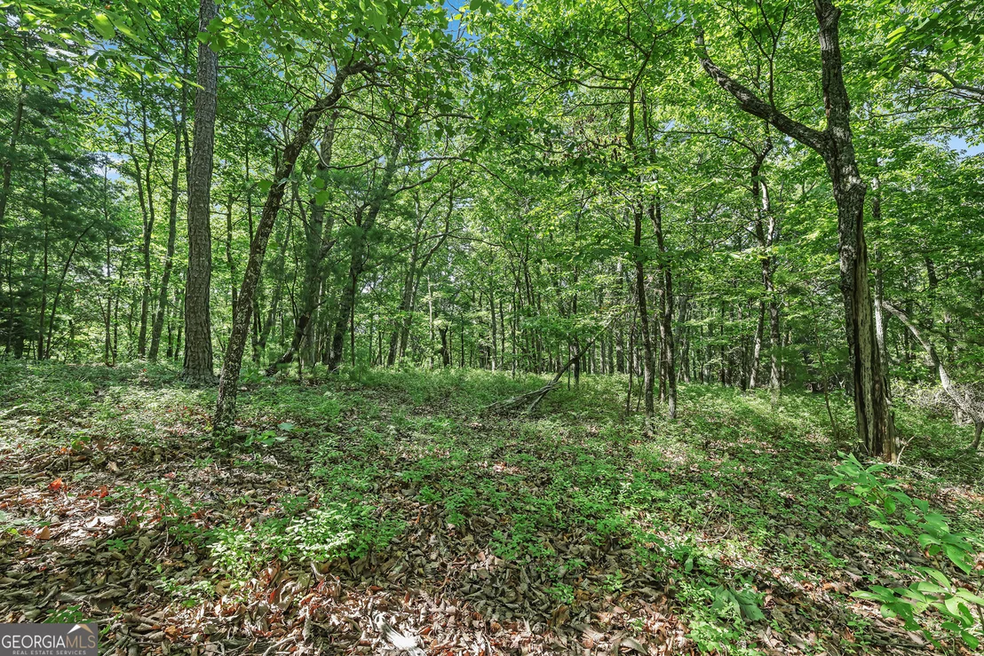 Photo of LOT 58 Mountain Sweet Drive