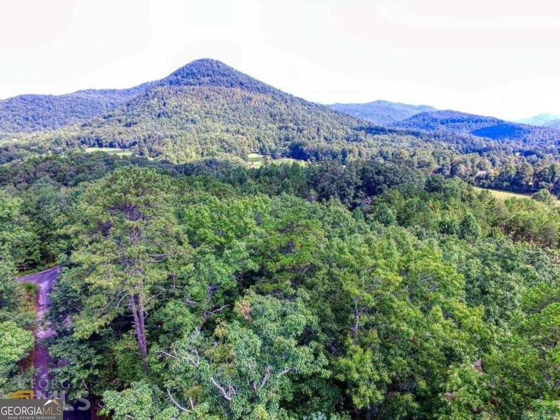 Photo of Unit LOT32 at 0 River Birch Lane