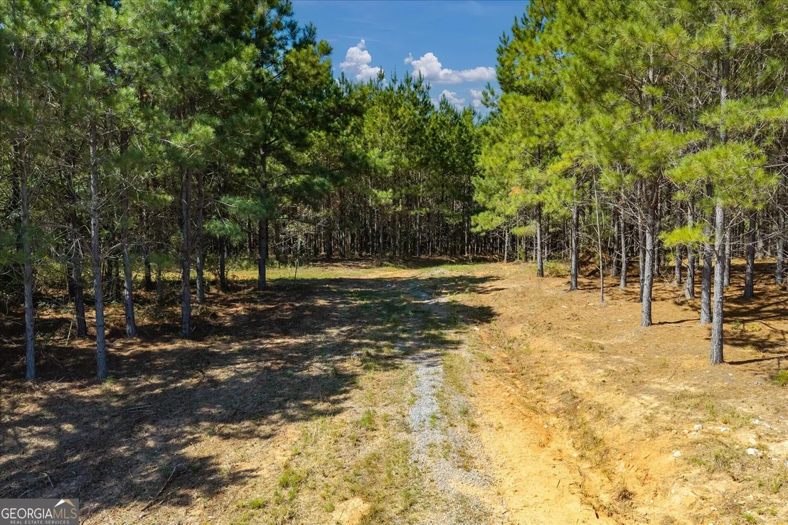 Photo of 0 Steadman Lane