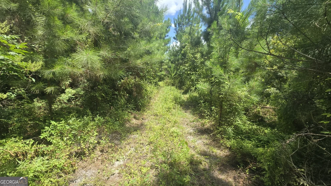 Photo of 0 East Highway 84 NE