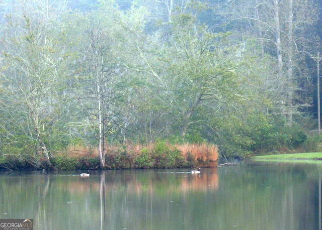 Photo of 6X Laurelwood