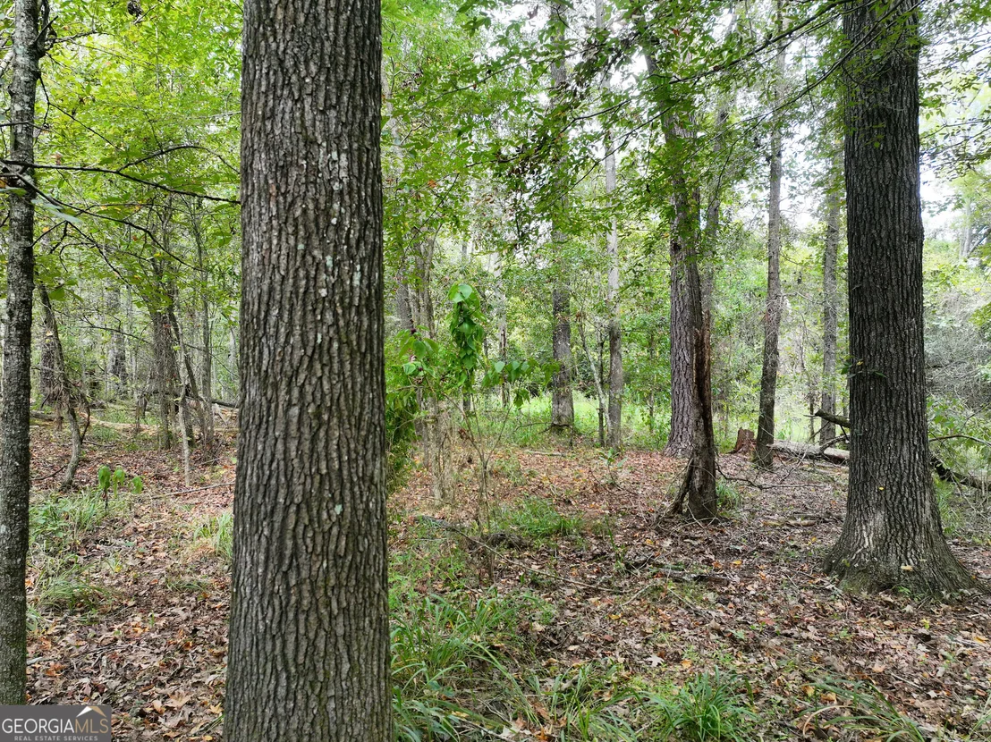 Photo of 0 Old US 84