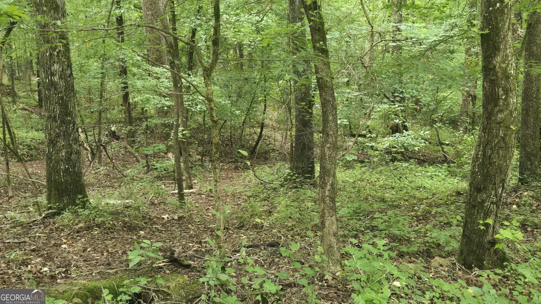 Photo of 3065 Smokey Road