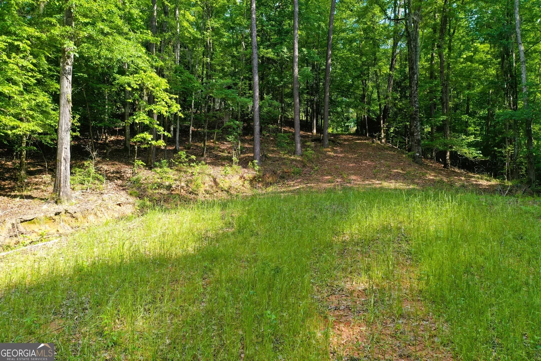 Photo of 0 Watson Spur Road