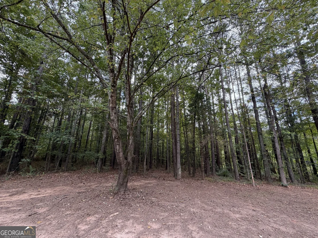 Photo of 392 Ga Highway 74