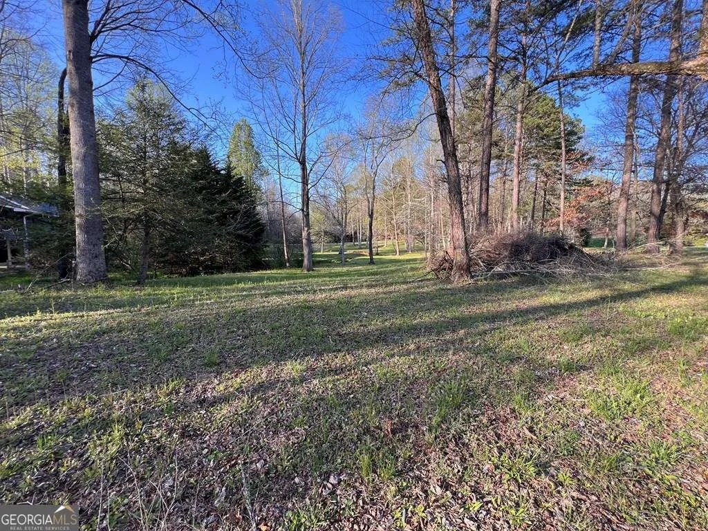 Photo of LOT 2 Preserve Road