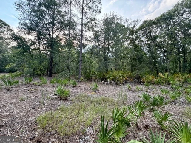 Photo of 1208 Hillside