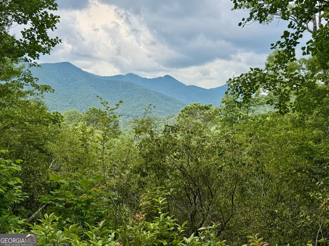 Photo of LOT 6 Raven Fork Trail
