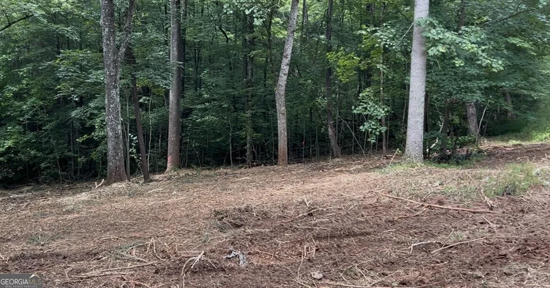 Photo of 10042 Doublehead Gap Road