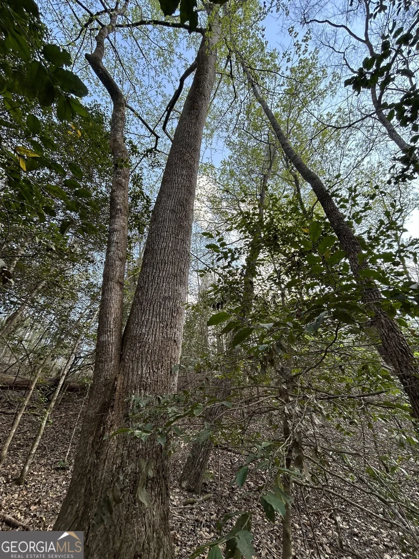 Photo of 195 County Line Road