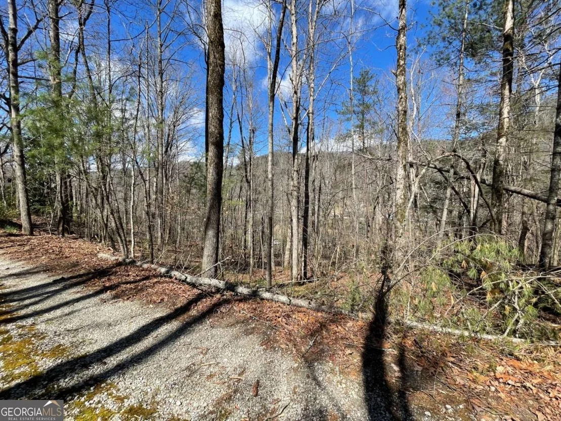 Photo of 0 Bridge Creek Road