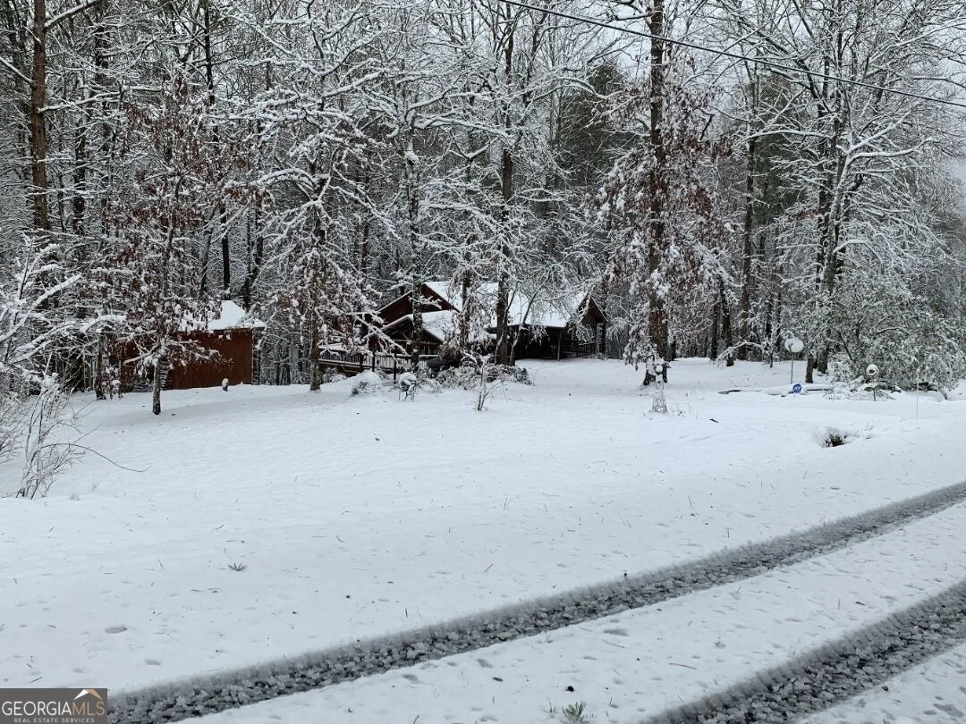 Photo of 113 Biddy Mtn Lane