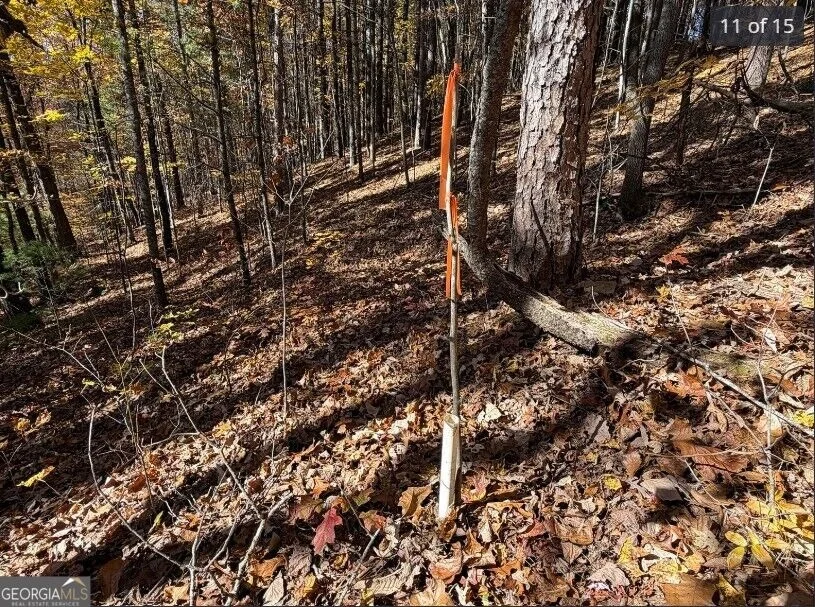 Photo of LOTS 12 &14 Crows Nest