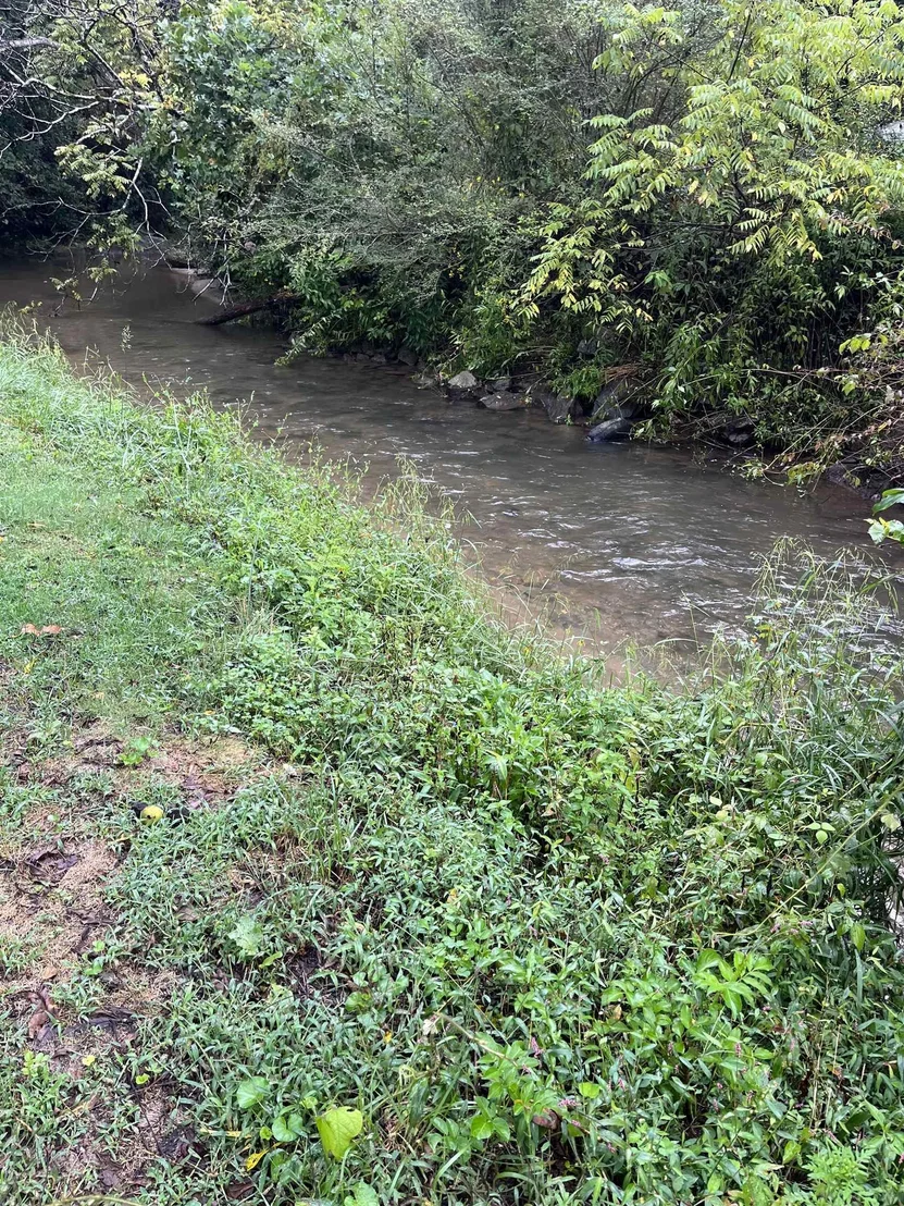 Photo of 5 Bryson Branch Road