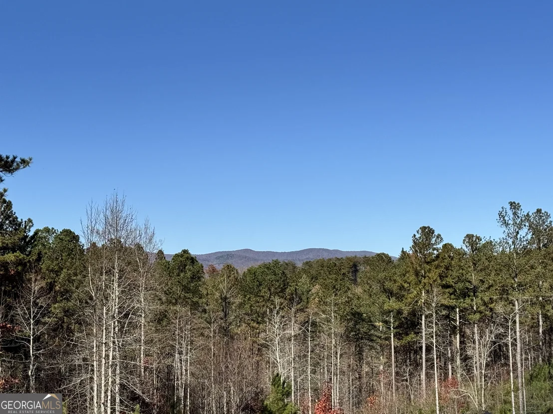 Photo of 61 Station Gap