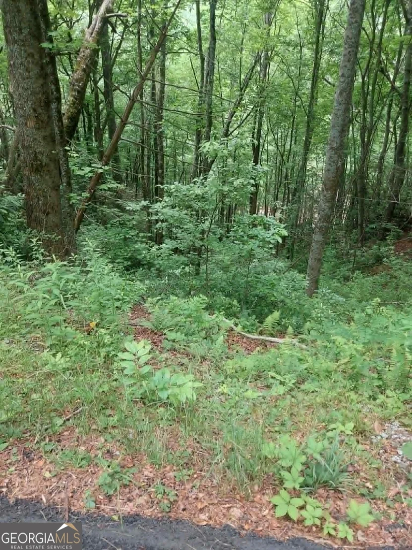 Photo of 0 LOT 37 Saddleback Circle