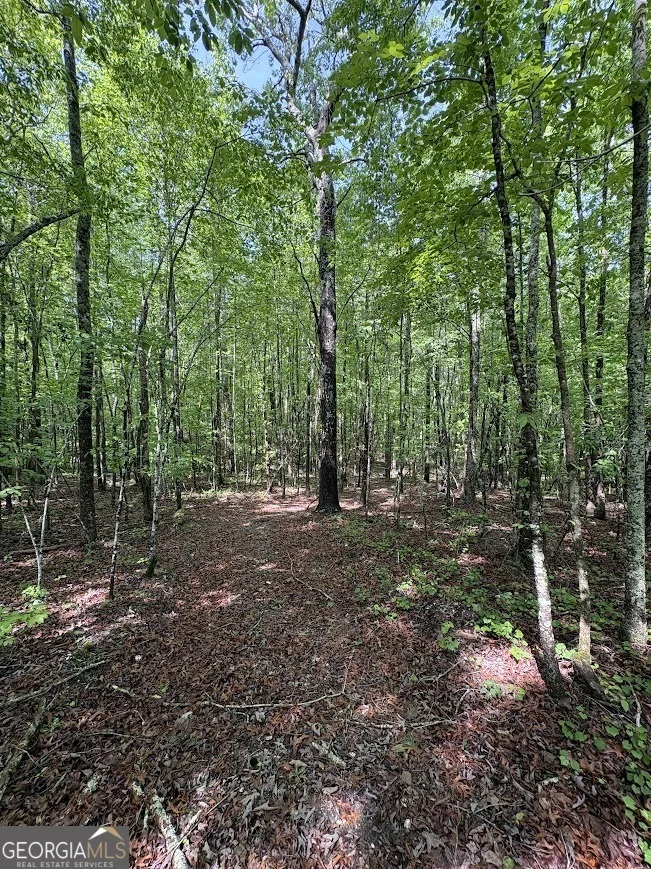 Photo of 0 Roy Dean Road