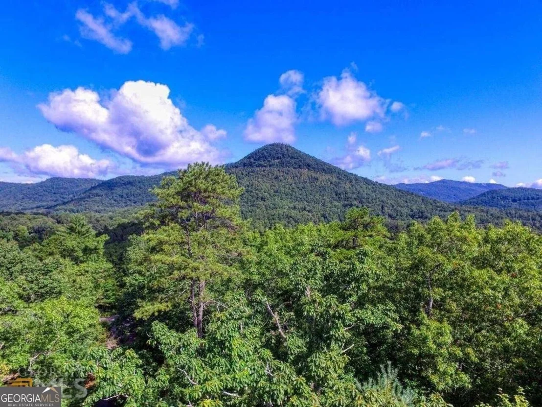 Photo of Unit LOT32 at 0 River Birch Lane