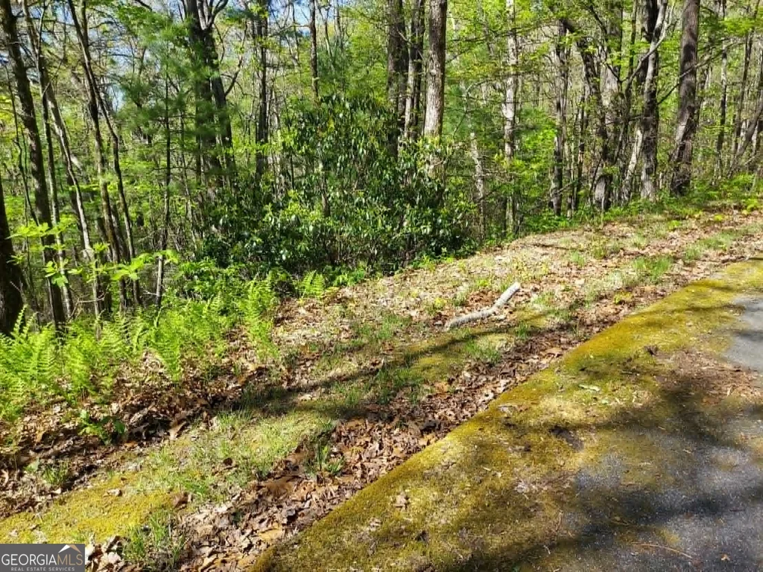 Photo of 0 LOT 40 Pipetrack Gap Road