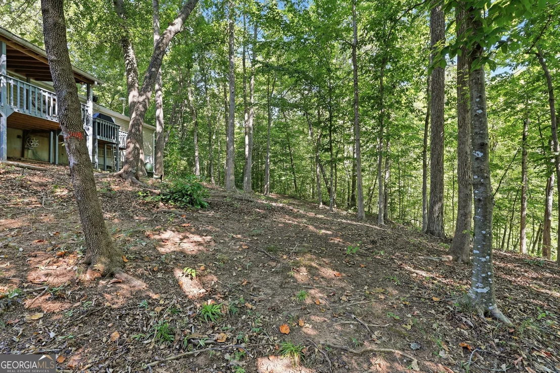 Photo of 1 Pine Needle Trail
