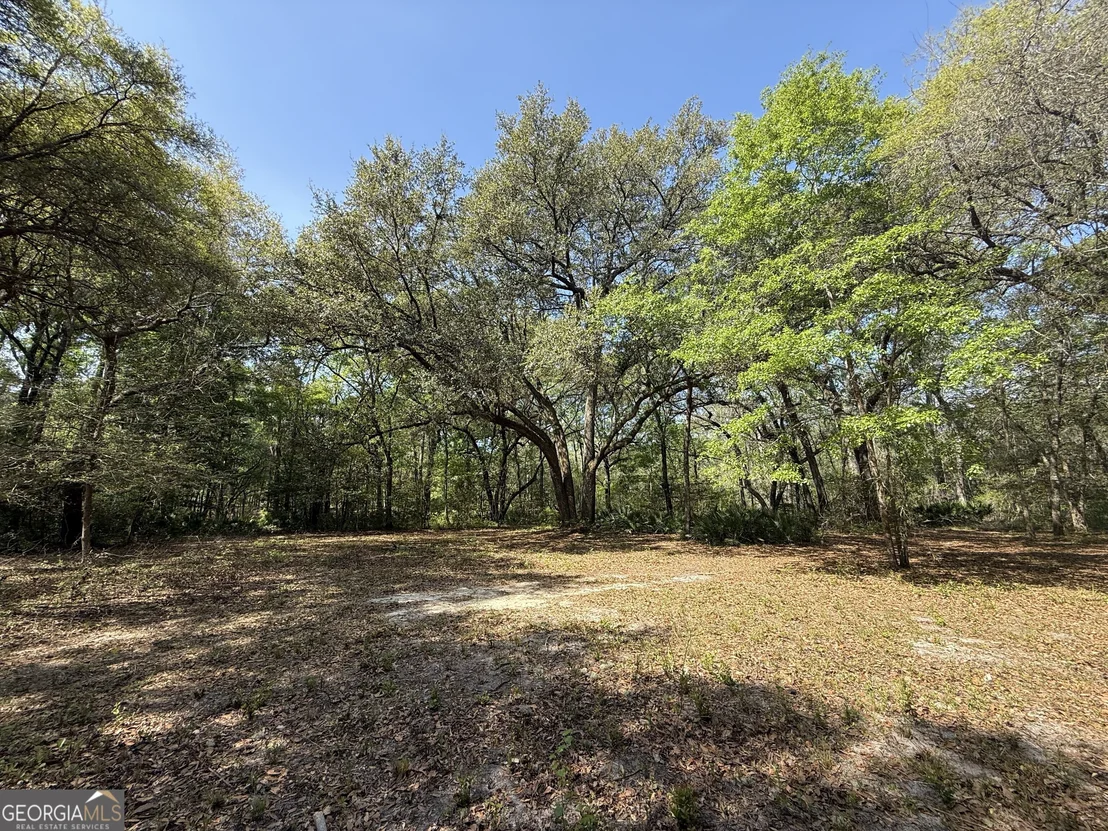 Photo of 315 High Bluff Road