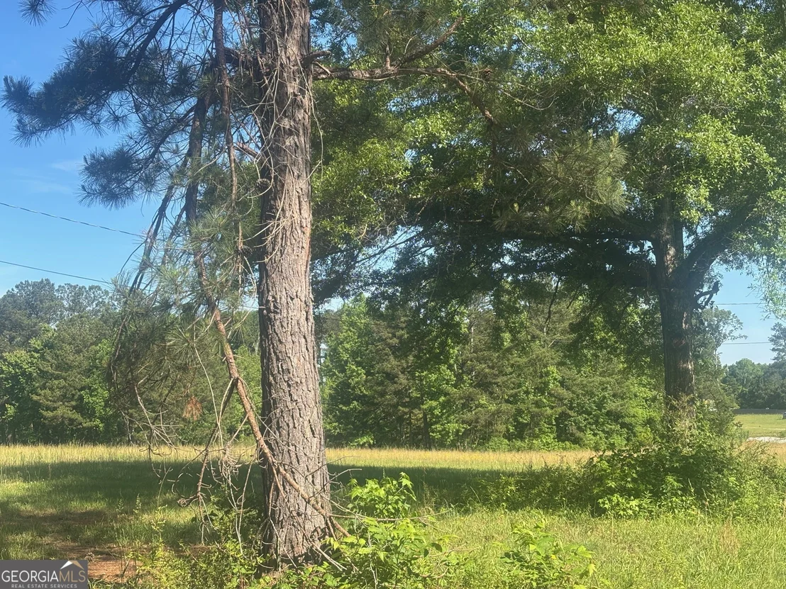 Photo of 89 Davidson Road
