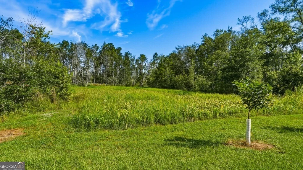 Photo of 1370 Ga Highway 56