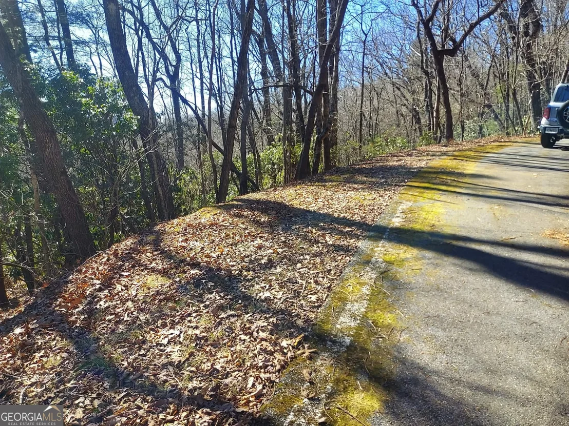Photo of 0 LOT 41 Pipetrack Gap Road