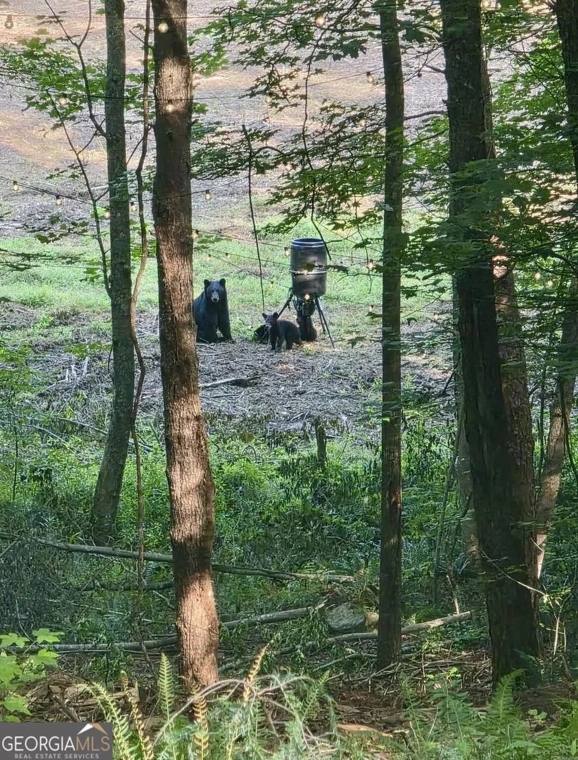 Photo of 10042 Doublehead Gap Road