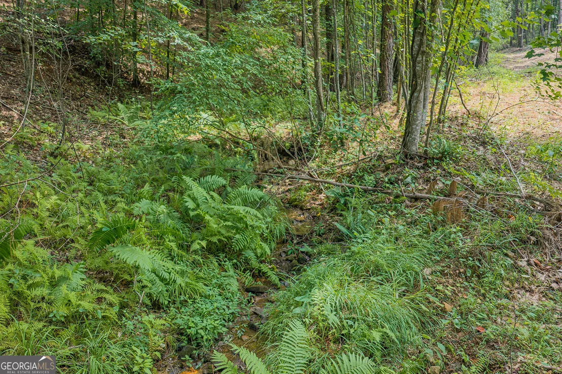 Photo of LOT 63 Lacey Springs Lane