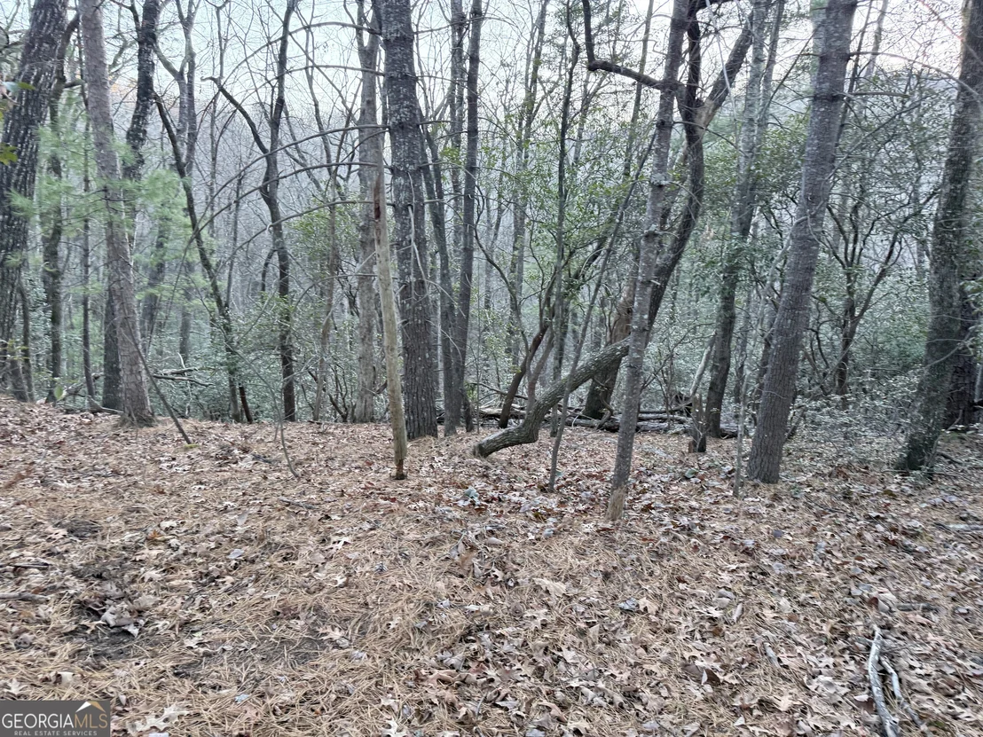 Photo of 0 Timber Bluff Drive