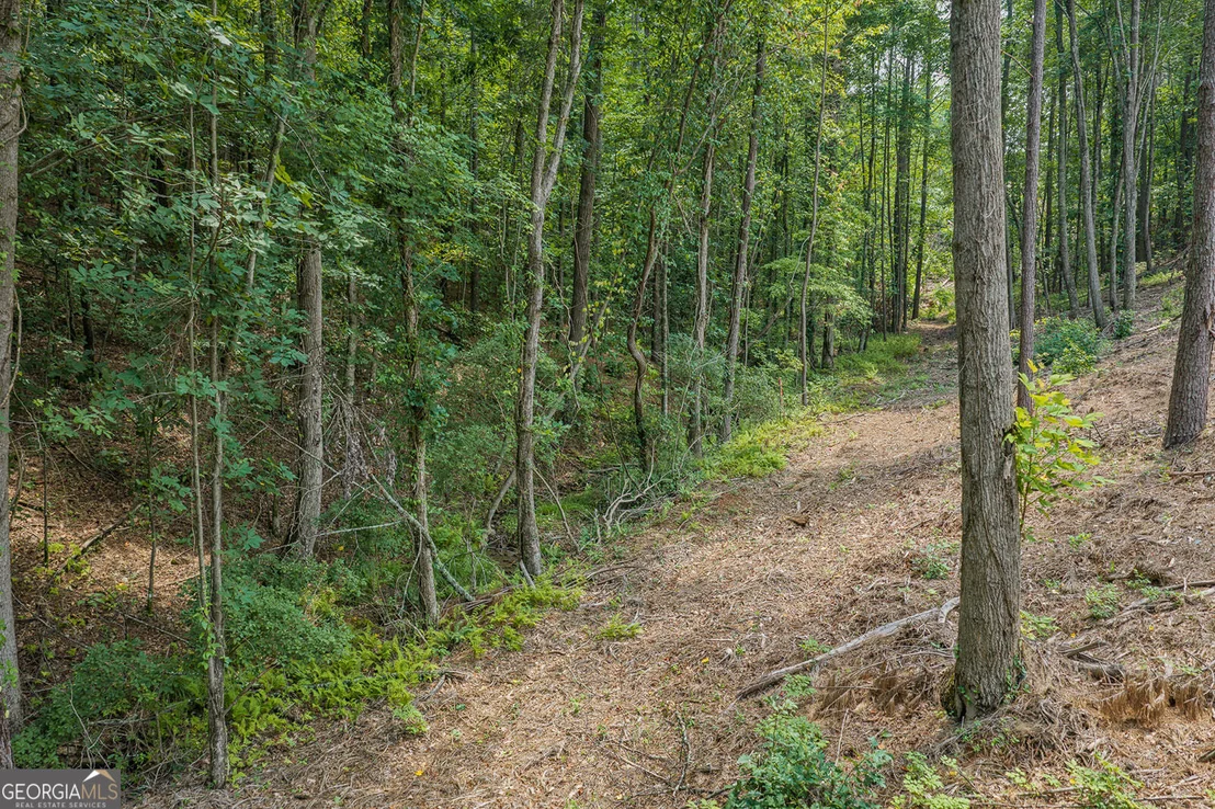Photo of LOT 63 Lacey Springs Lane