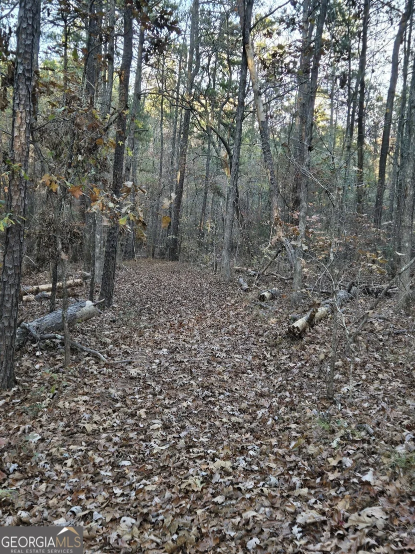 Photo of 571 King Bostick Road