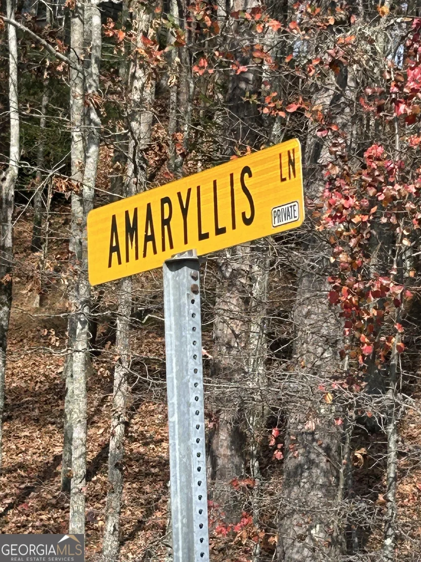 Photo of 0 Amaryllis Lane