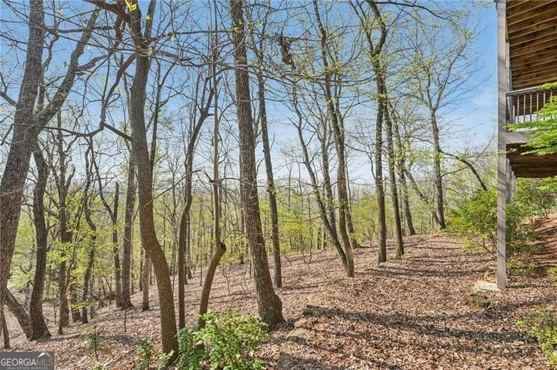 Photo of 1041 Cox Mountain Drive