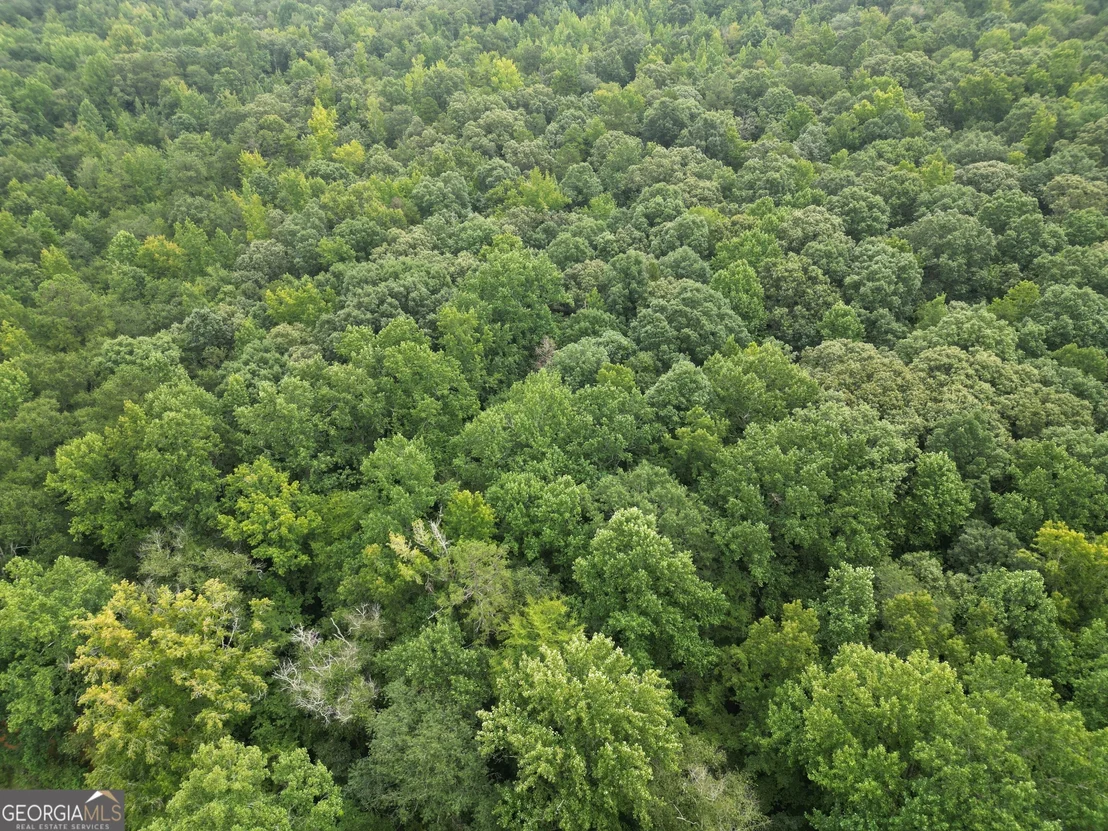 Photo of 3065 Smokey Road