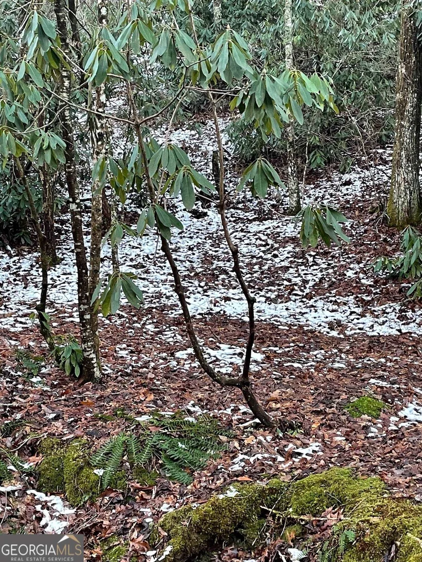 Photo of Unit LOT8 at 0 LOT 8 Bald Mountain Road