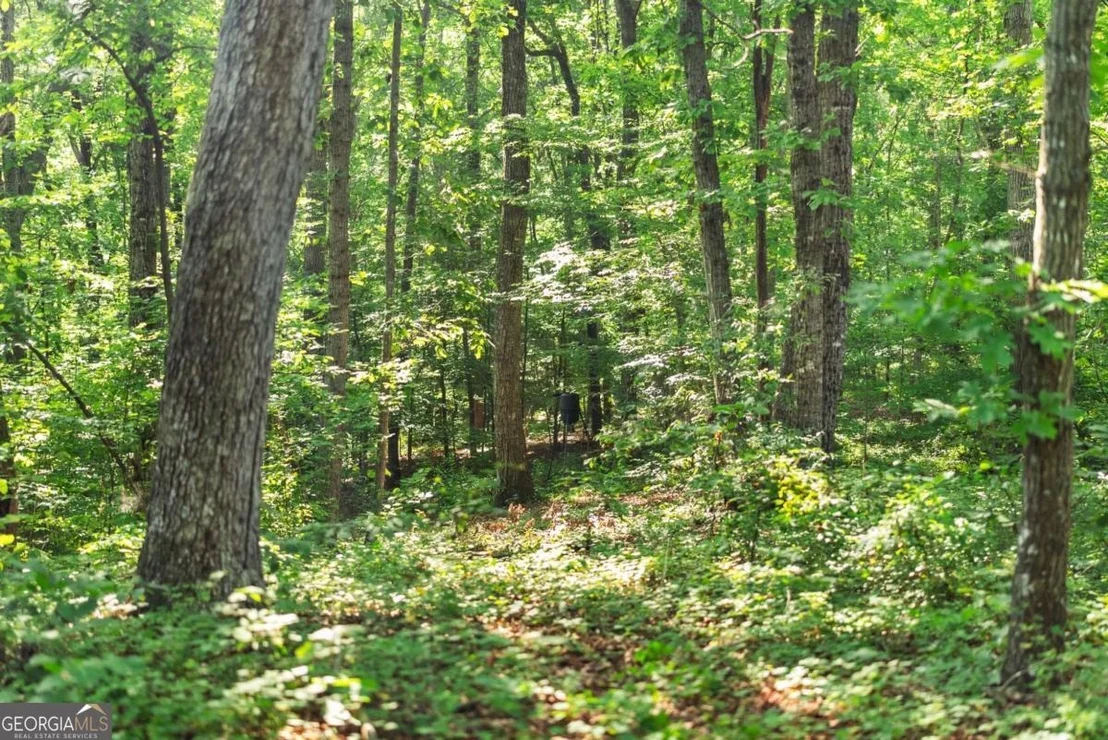 Photo of 0 Prospect Road