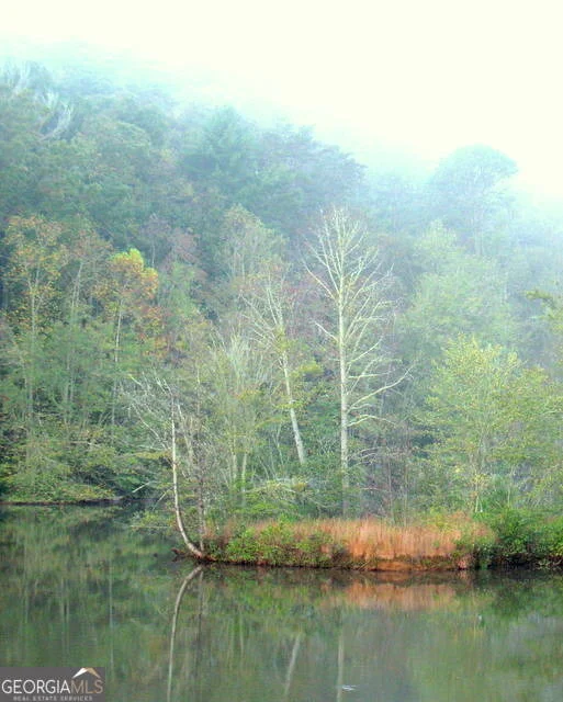 Photo of 6X Laurelwood
