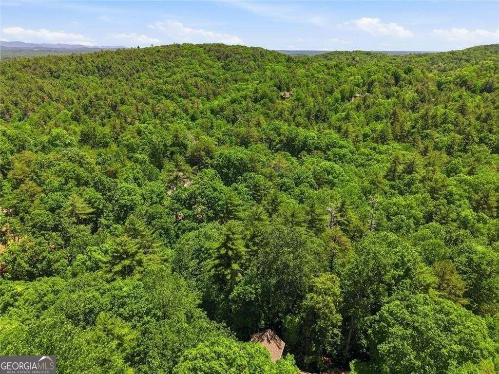 Photo of 1288 Black Bear Trail