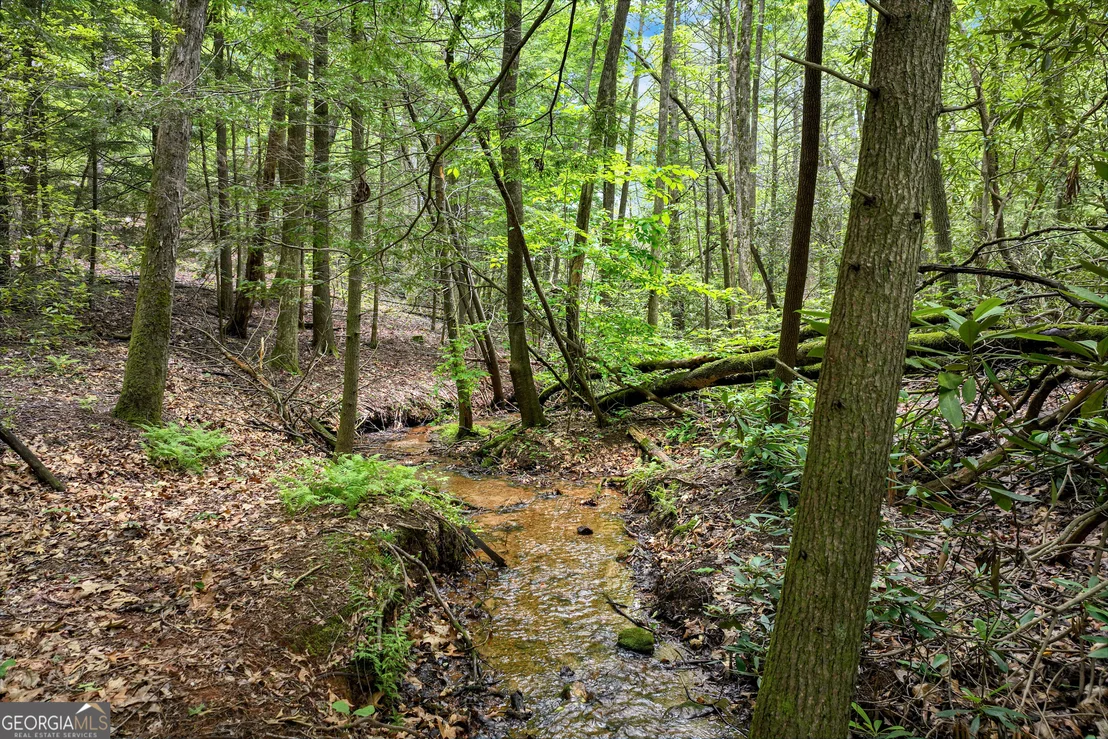 Photo of 2001 Chimney Mountain Flats Trail