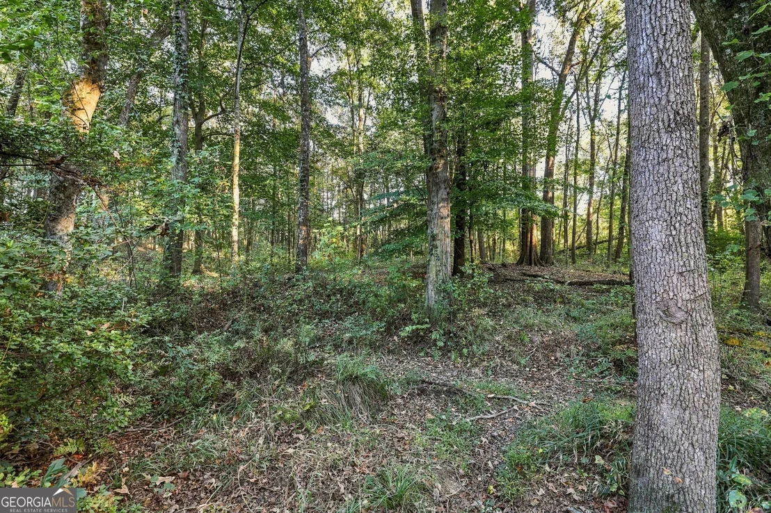 Photo of 3453 Bowman Highway