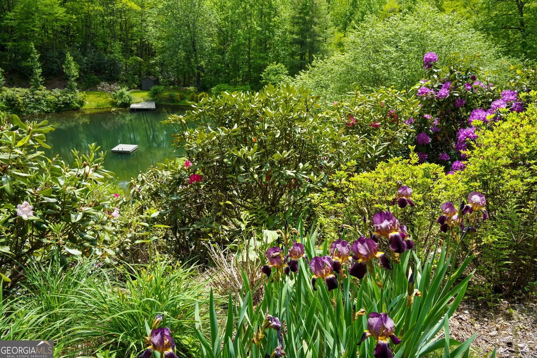 Photo of 115 Dam Lake Drive