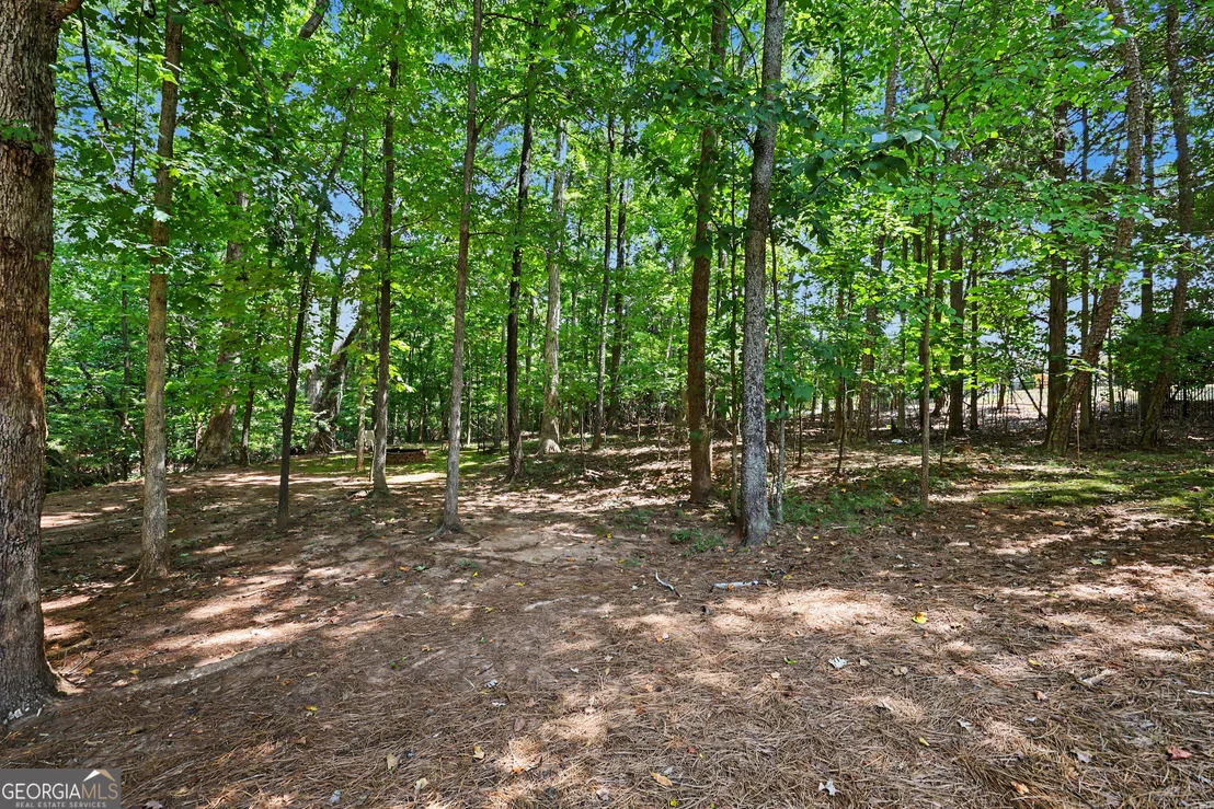 Photo of 3616 Lively Oak Drive