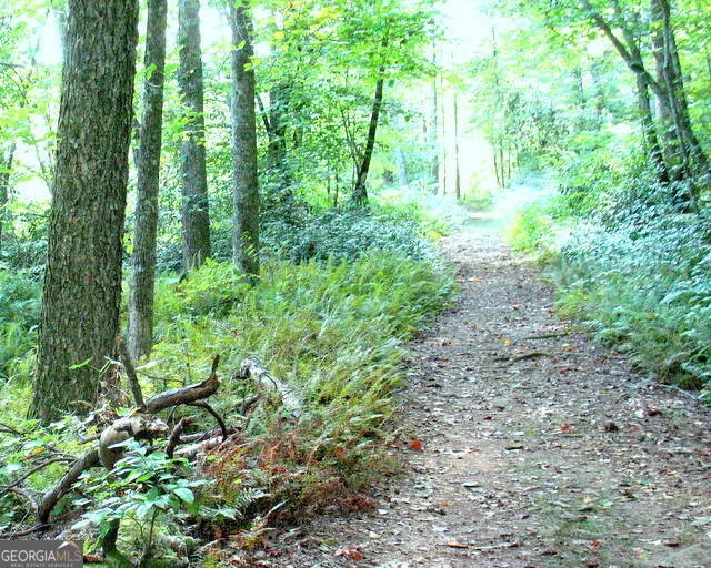 Photo of 6X Laurelwood