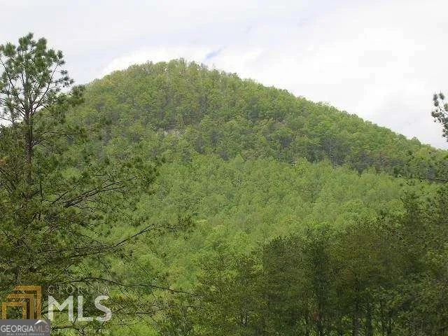 Photo of Unit LOT32 at 0 River Birch Lane